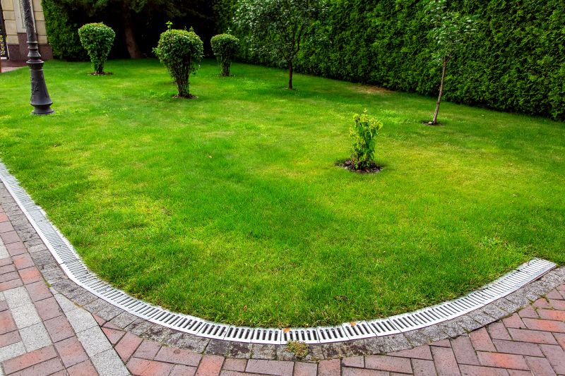 Expert Advice on Yard Drainage